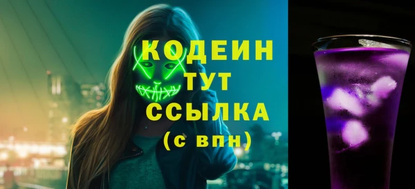 сатива Галич