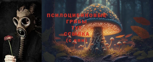 кокс Абдулино