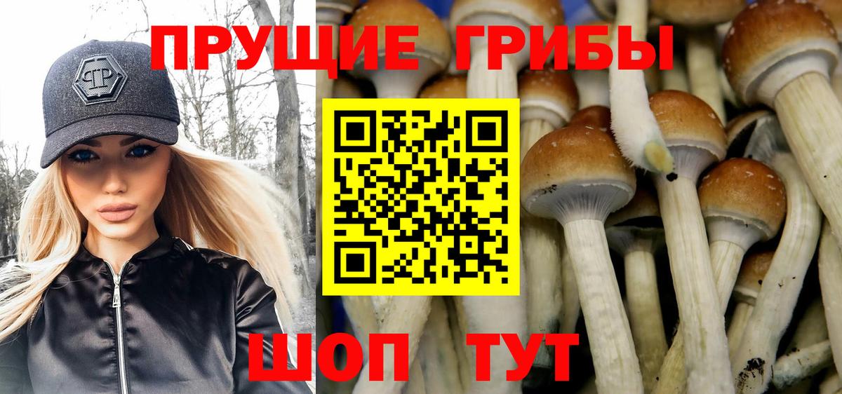 Псилоцибиновые грибы прущие грибы  Вход с VPN  Галлюциногенные грибы Cubensis  Холмск 