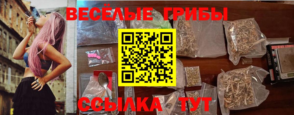 Галлюциногенные грибы прущие грибы Холмск